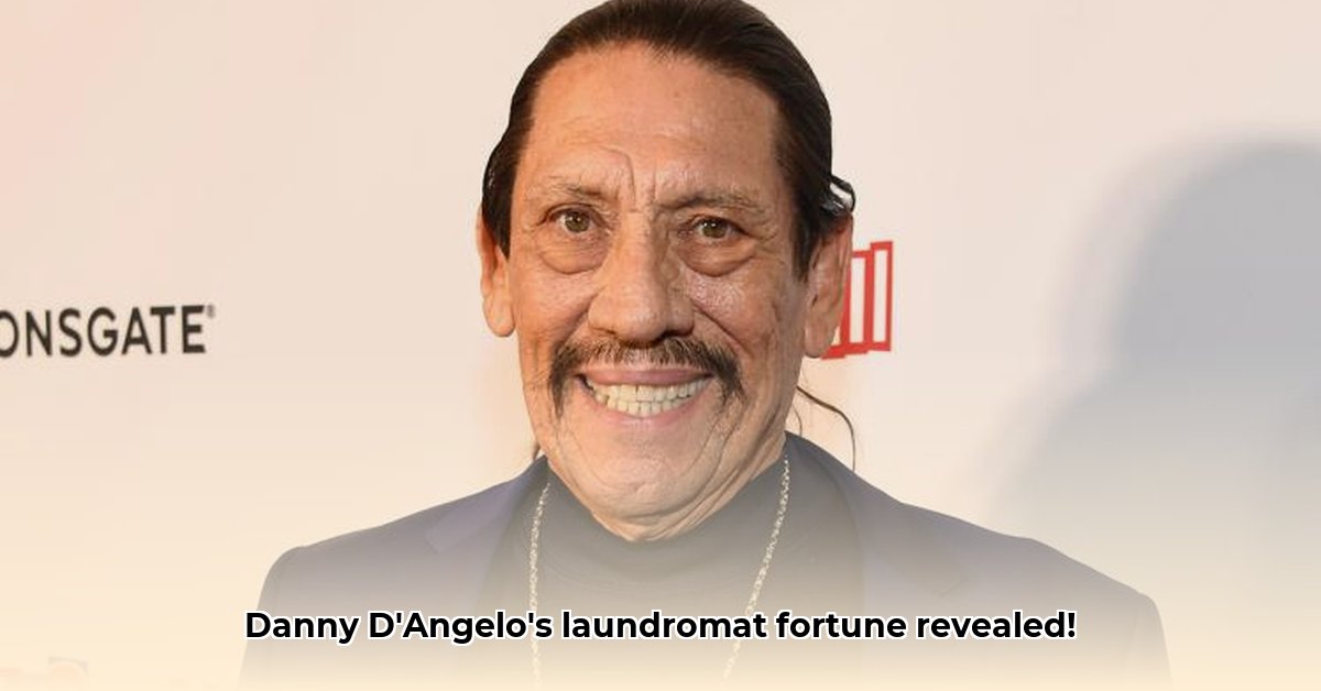 danny-d-angelo-net-worth